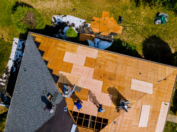 Roof Gutter Cleaning in Stuttgart, AR